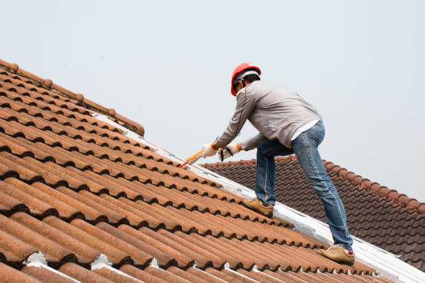 Best Roof Insulation Installation  in Granite Falls, MN